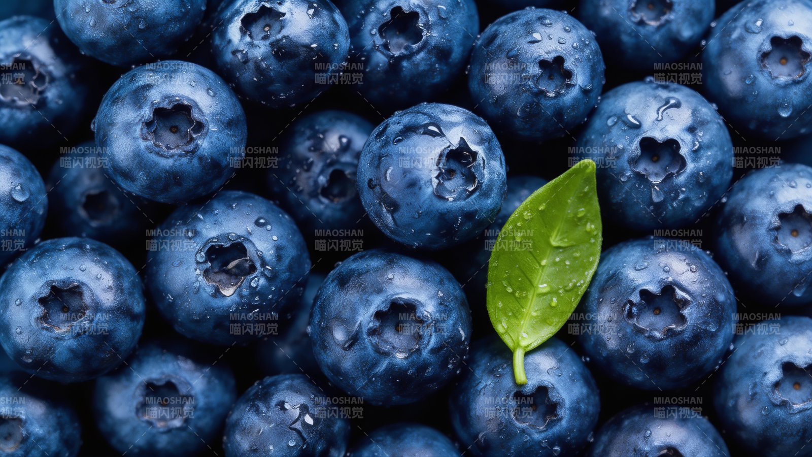 蓝莓与绿叶图片