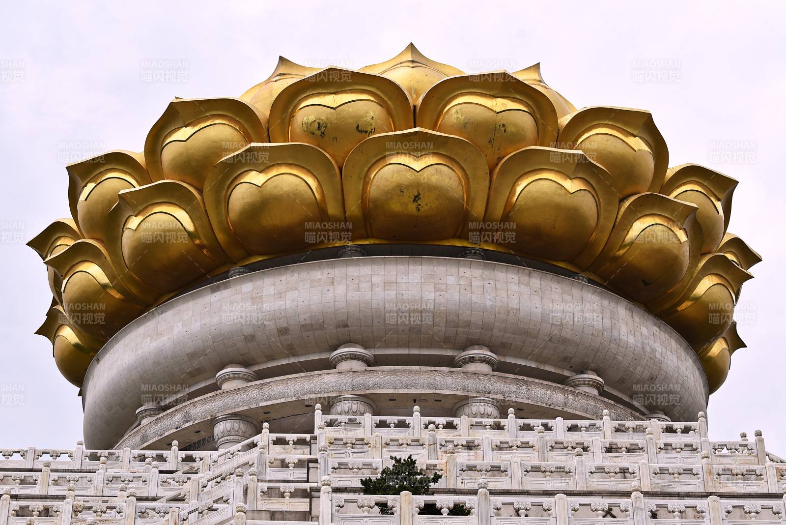 浙江绍兴兜天宫金色莲花宝顶图片