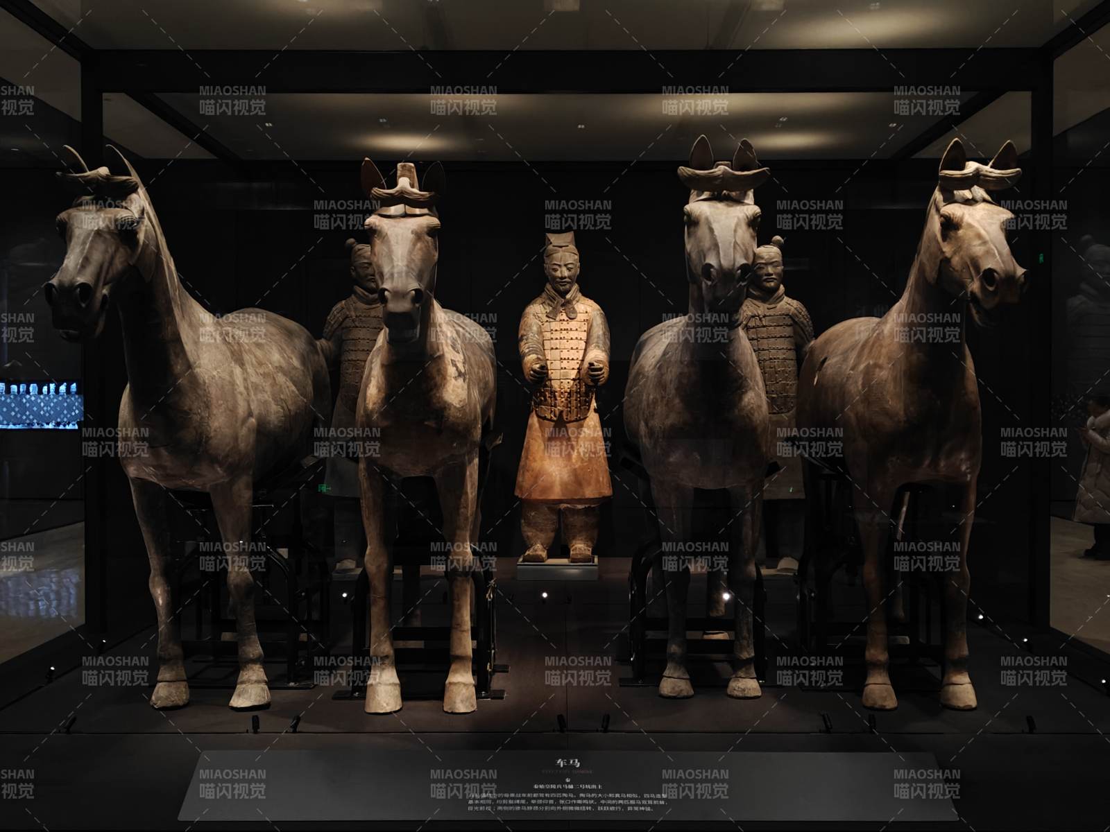 兵马俑马车陈列图片