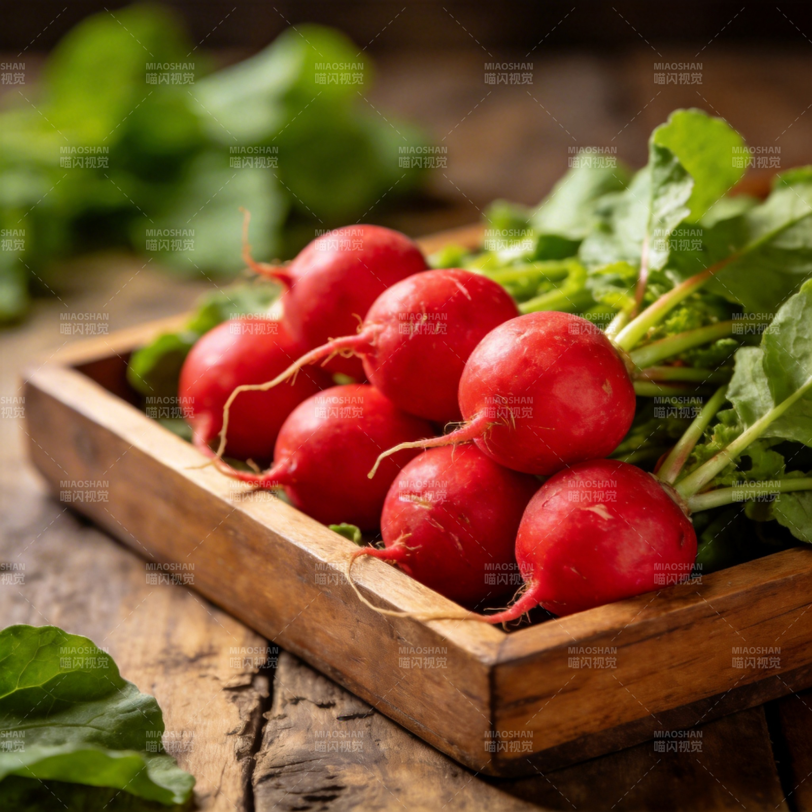 新鲜红萝卜图片