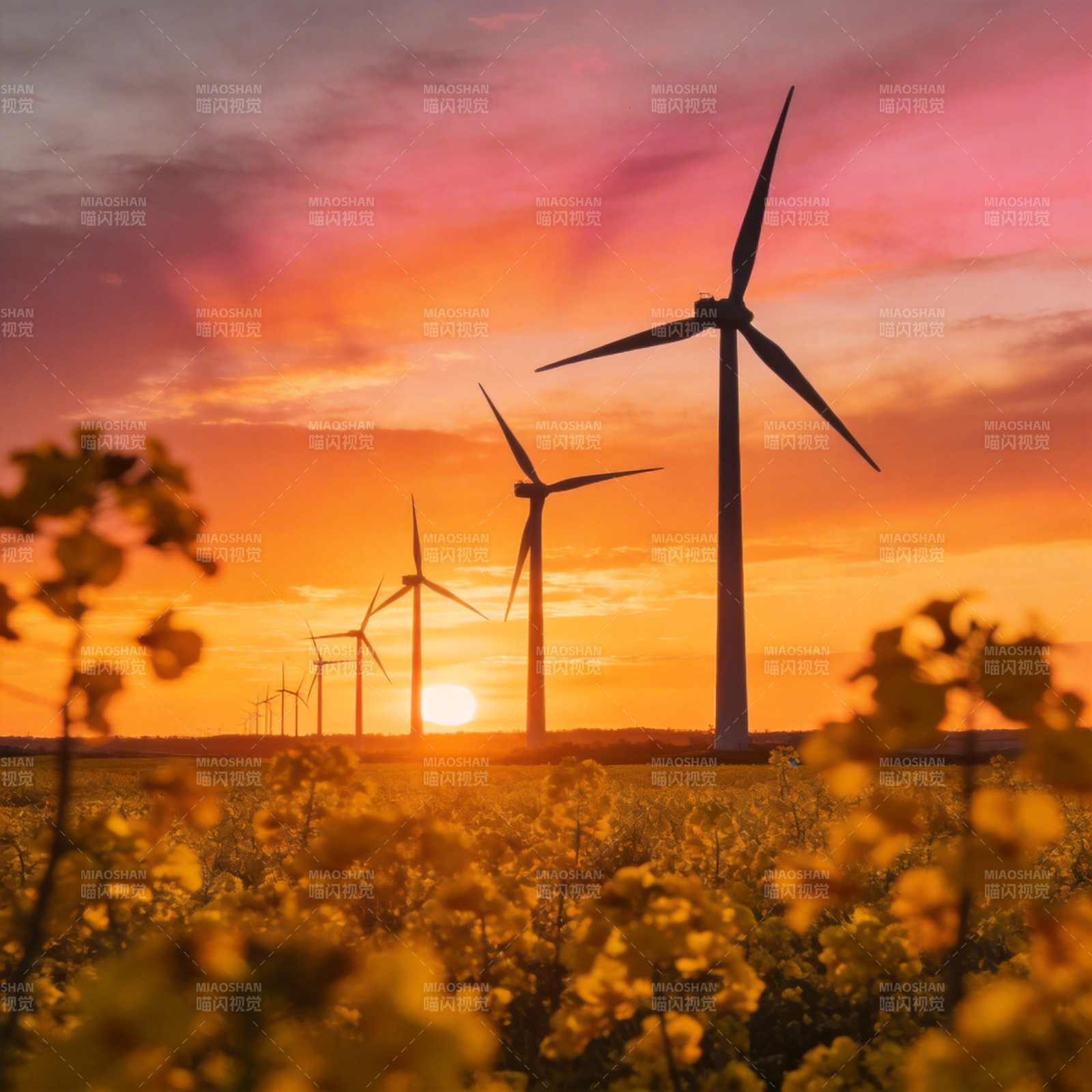 风车夕阳花海图片