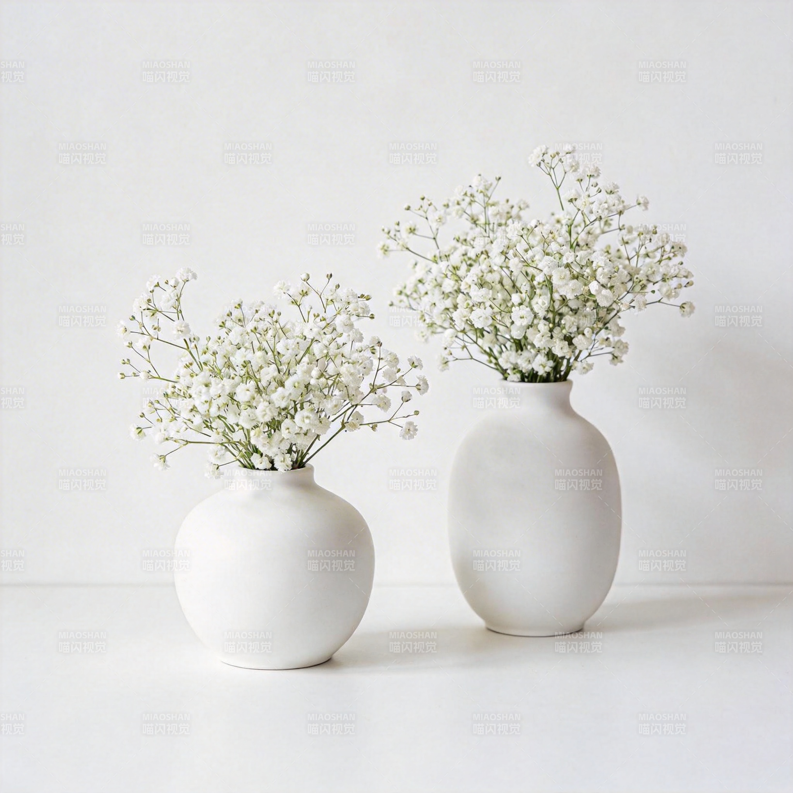 白花静谧之美图片