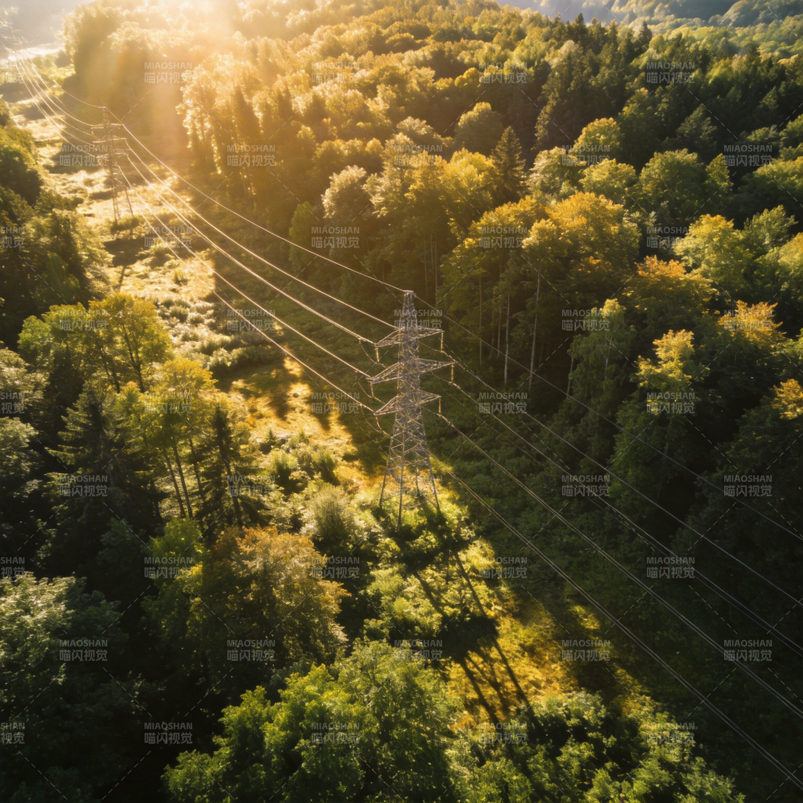 森林中的电力塔图片
