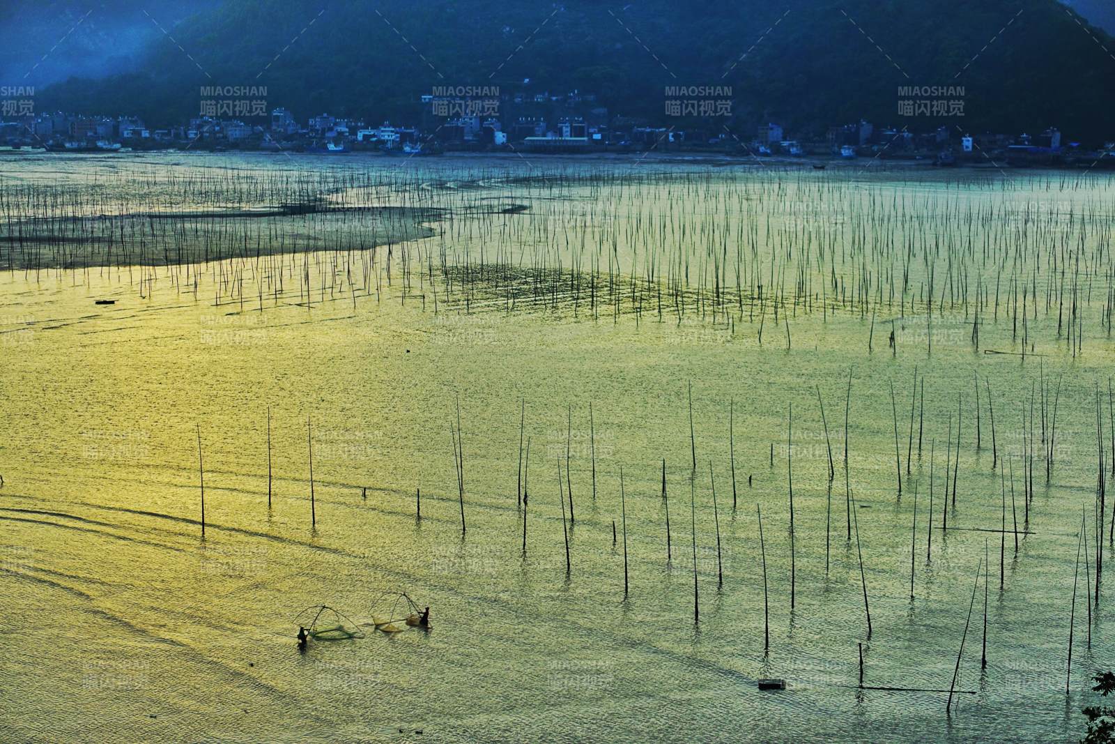 霞浦渔场竹竿映晚霞图片