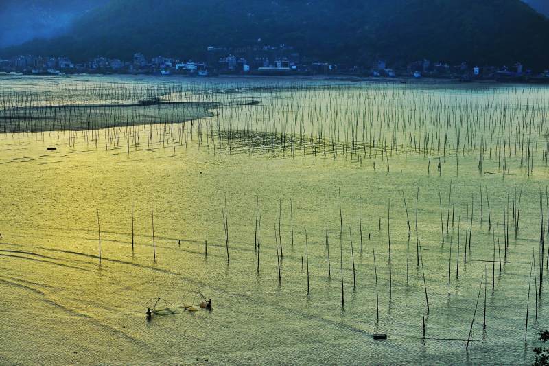 霞浦渔场竹竿映晚霞图片