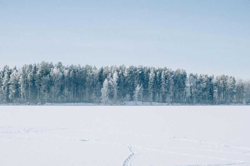 雪原林海静谧冬景图片