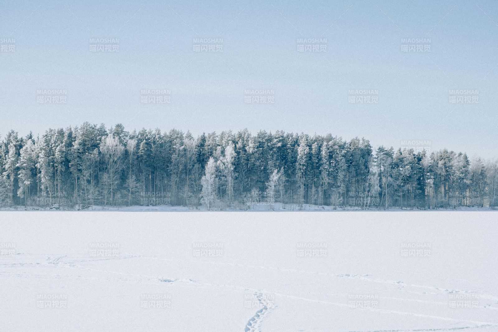 雪原林海静谧冬景图片