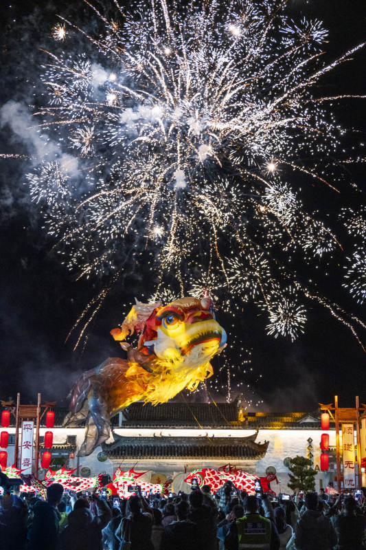 烟花舞龙迎新春图片