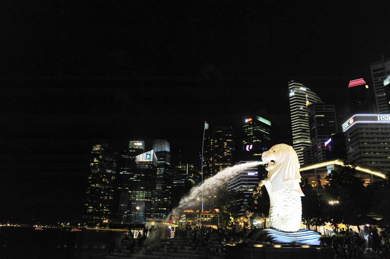 夜幕下的鱼尾狮喷泉图片