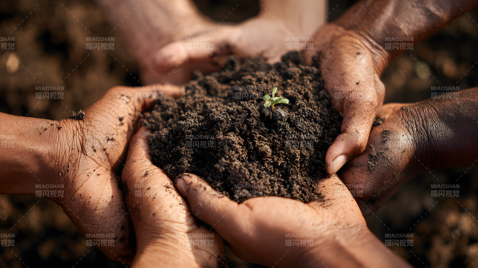 携手育苗 共护新生图片