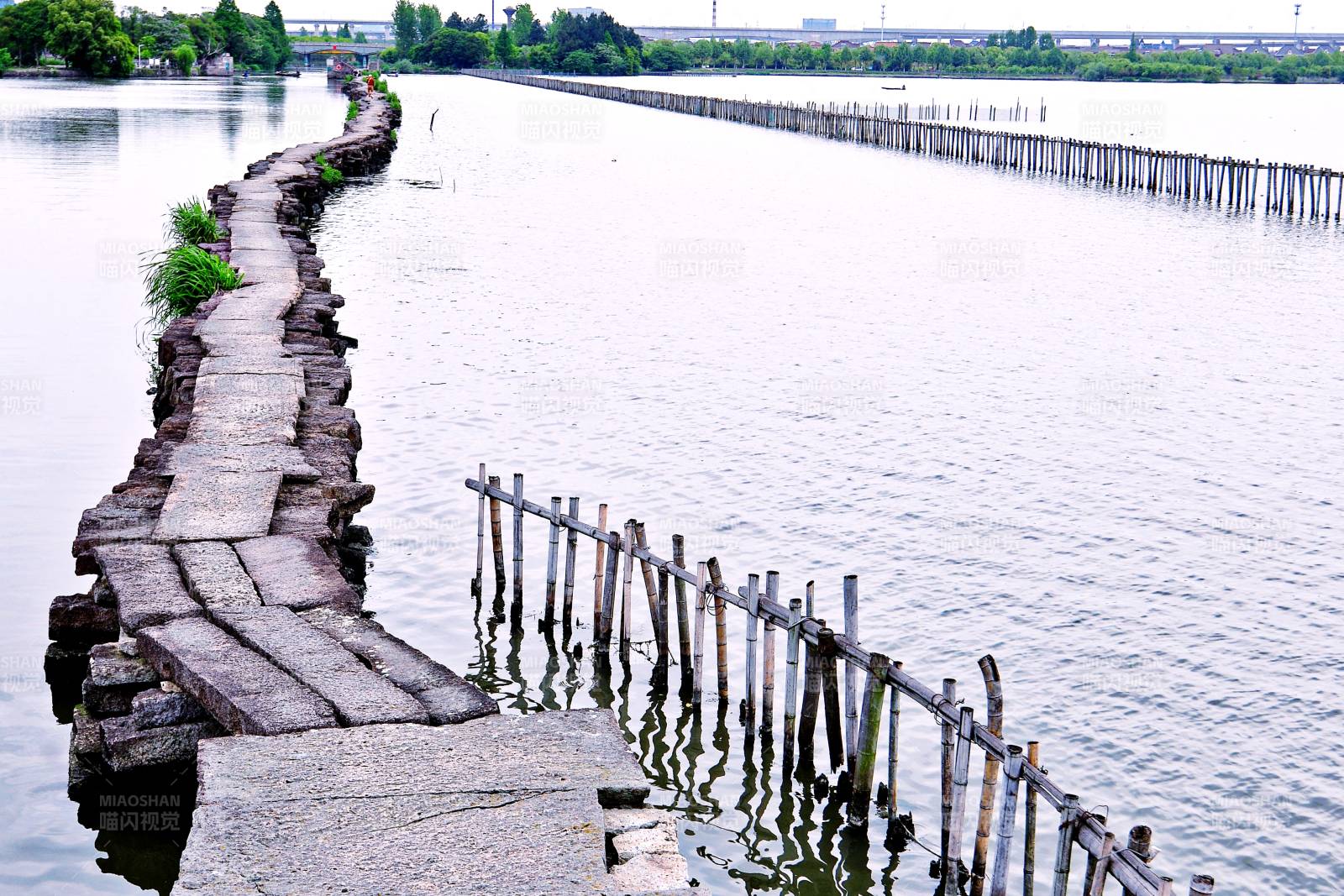 浙江绍兴国家重点文物犭央犭茶湖避塘图片