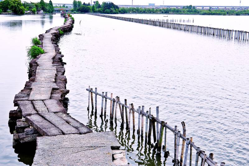 浙江绍兴国家重点文物犭央犭茶湖避塘图片