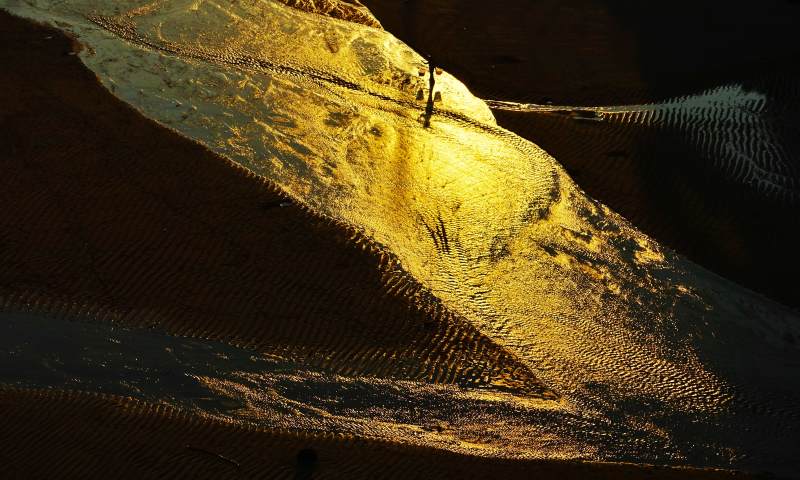 金色滩涂光影交错图片