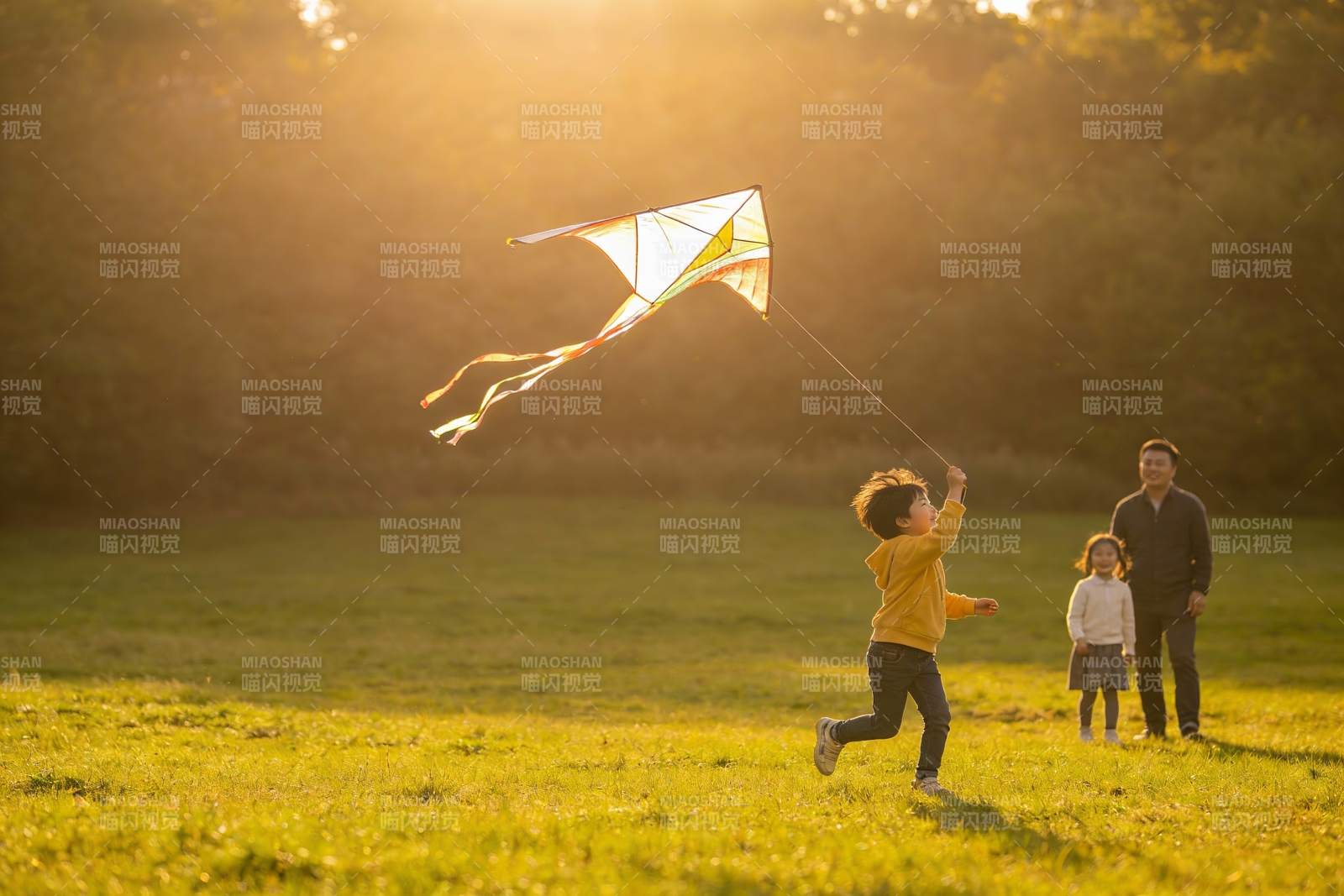 父子草地上放风筝图片