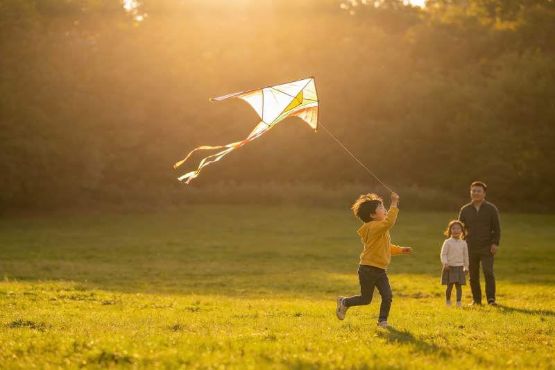 父子草地上放风筝图片
