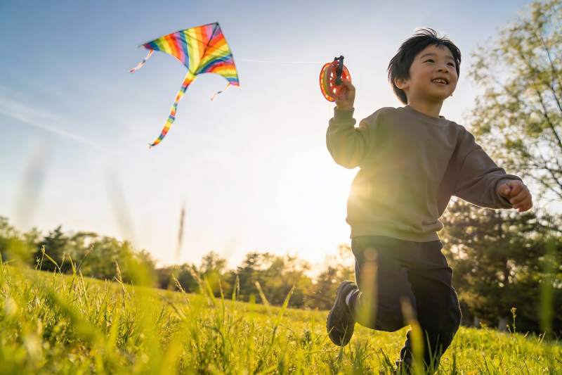 小男孩草地上放风筝图片