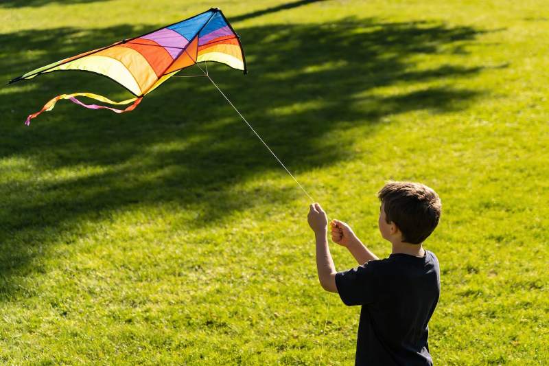 小男孩草地上放风筝图片