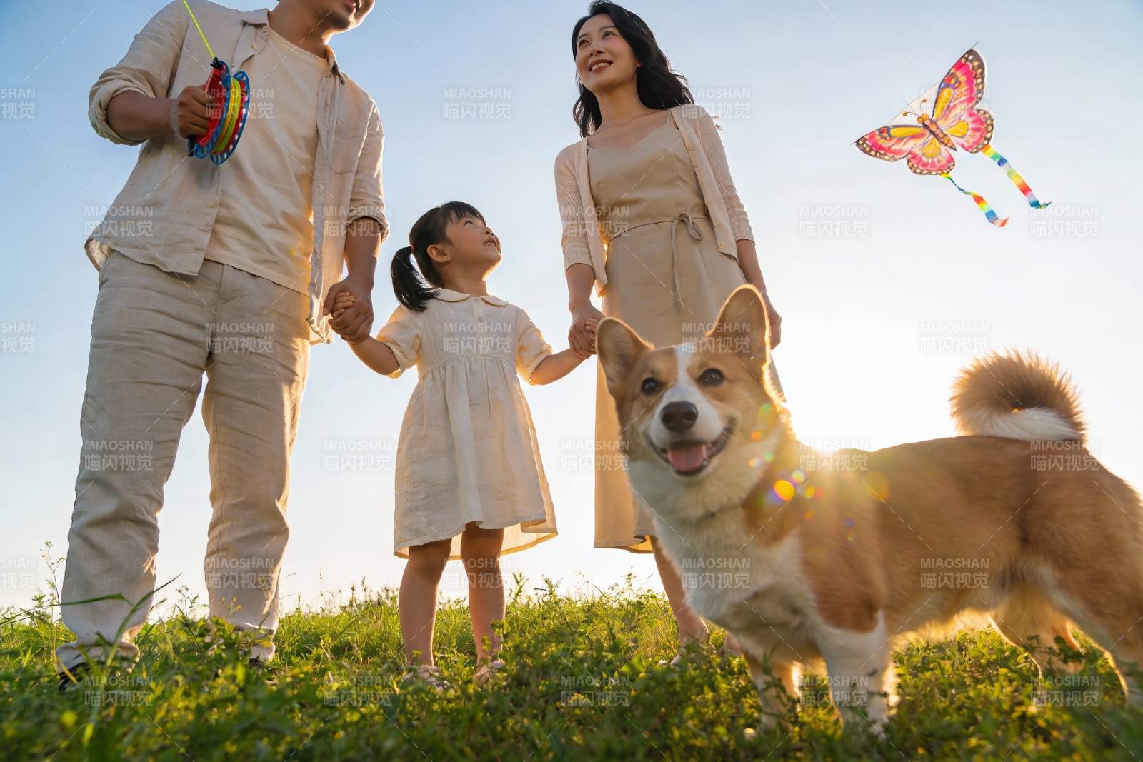 家庭户外放风筝与宠物狗图片