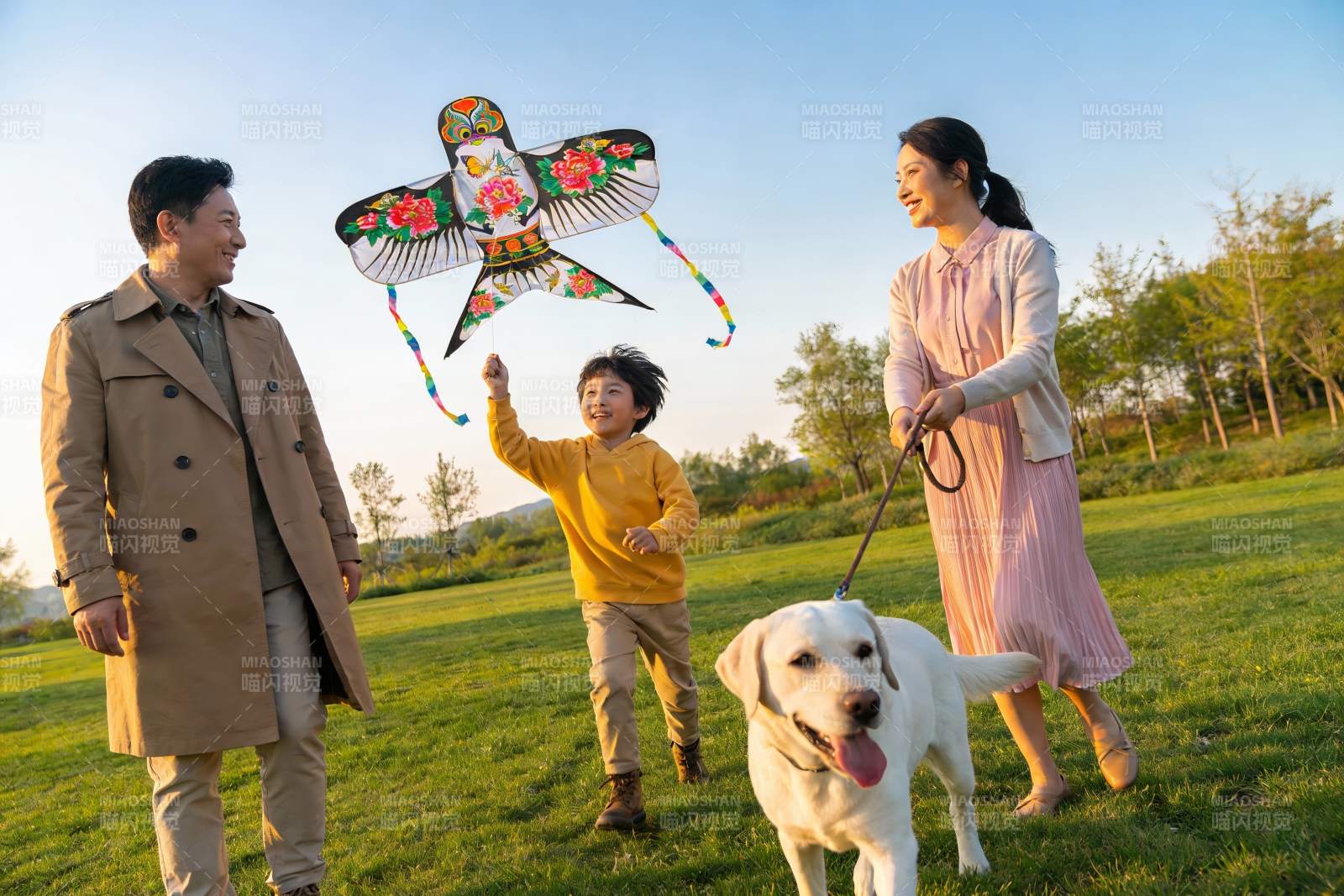 家庭户外放风筝与遛狗图片
