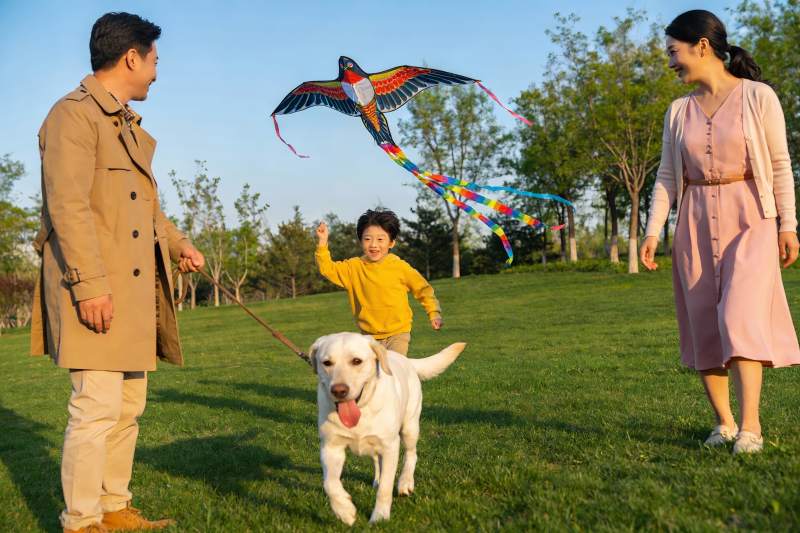 家庭户外放风筝与宠物狗图片