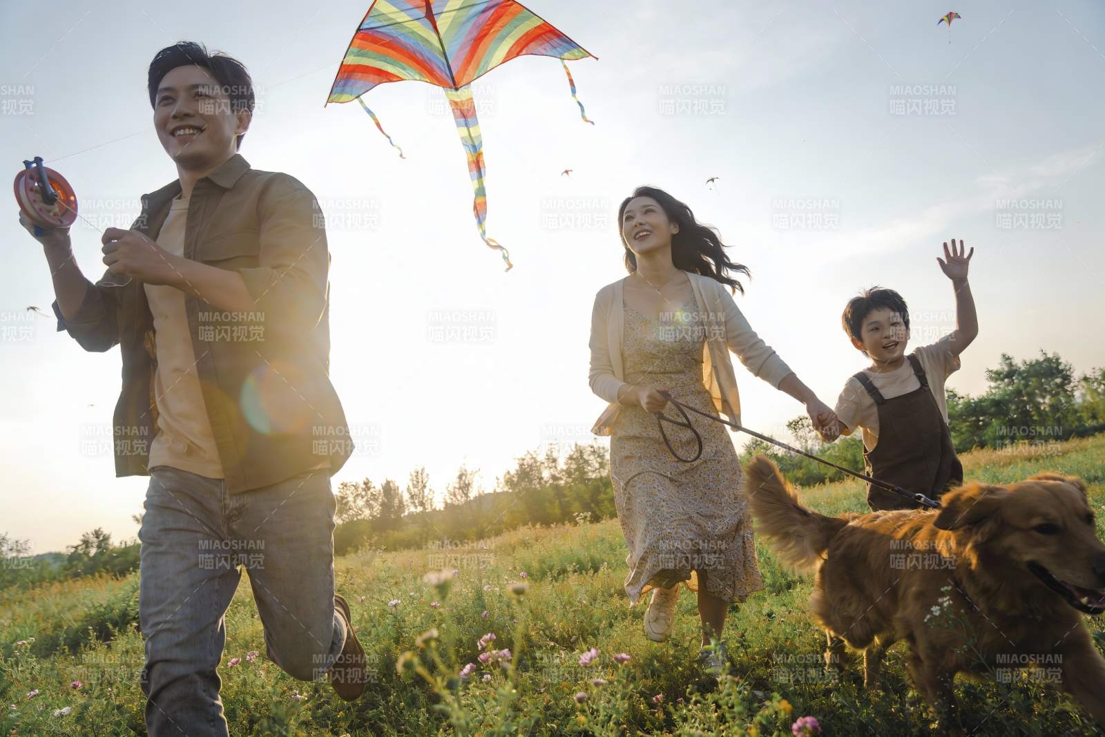 一家三口户外放风筝图片