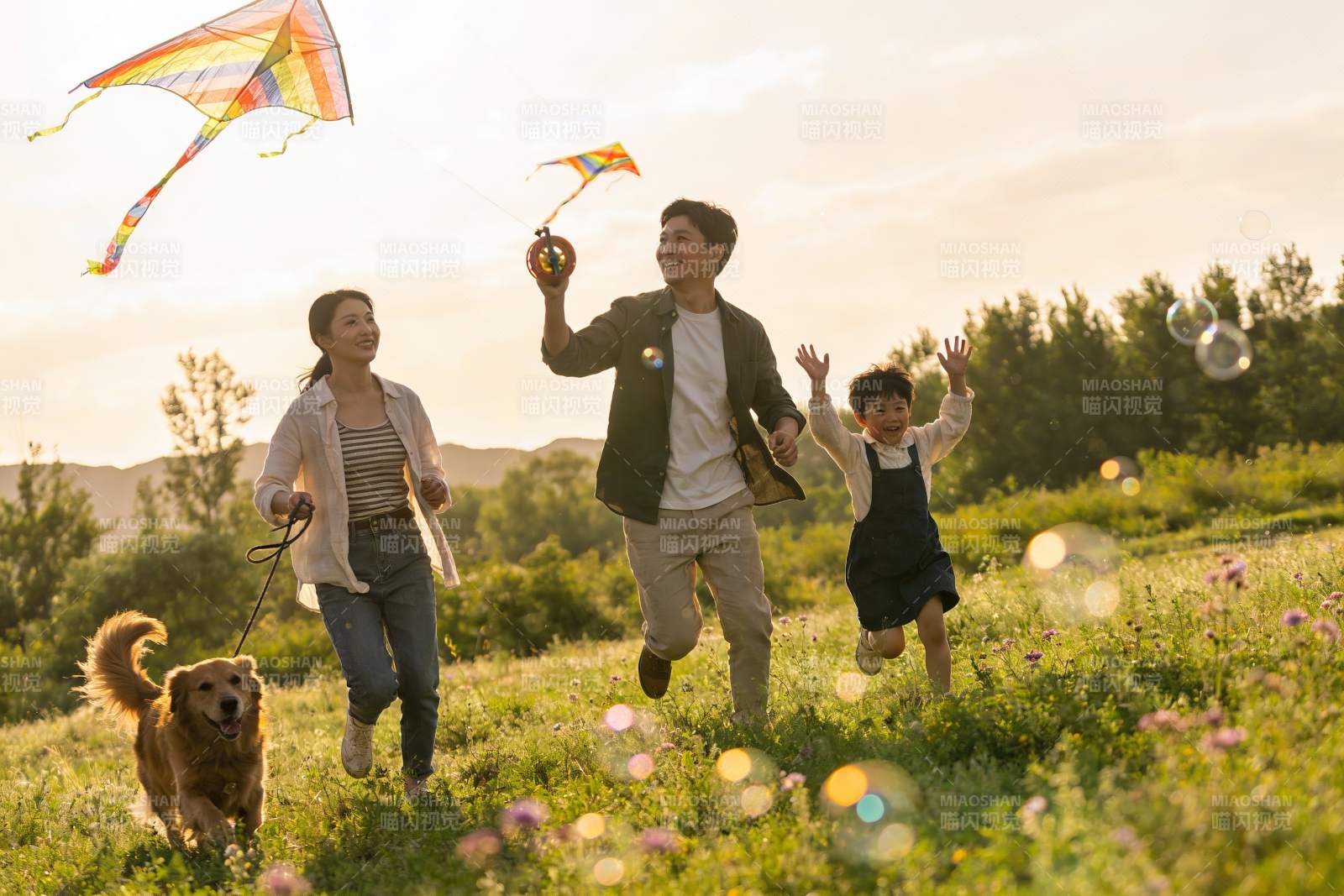 家庭户外放风筝欢乐场景图片