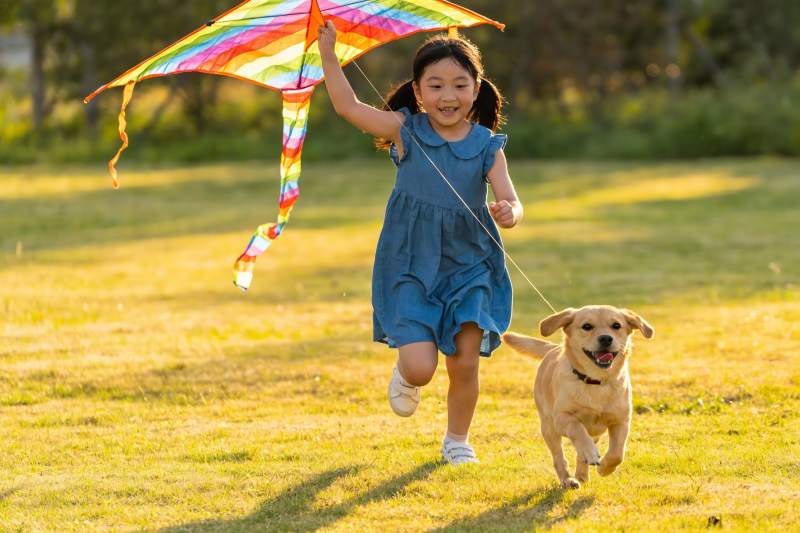小女孩草地放风筝 狗相伴图片