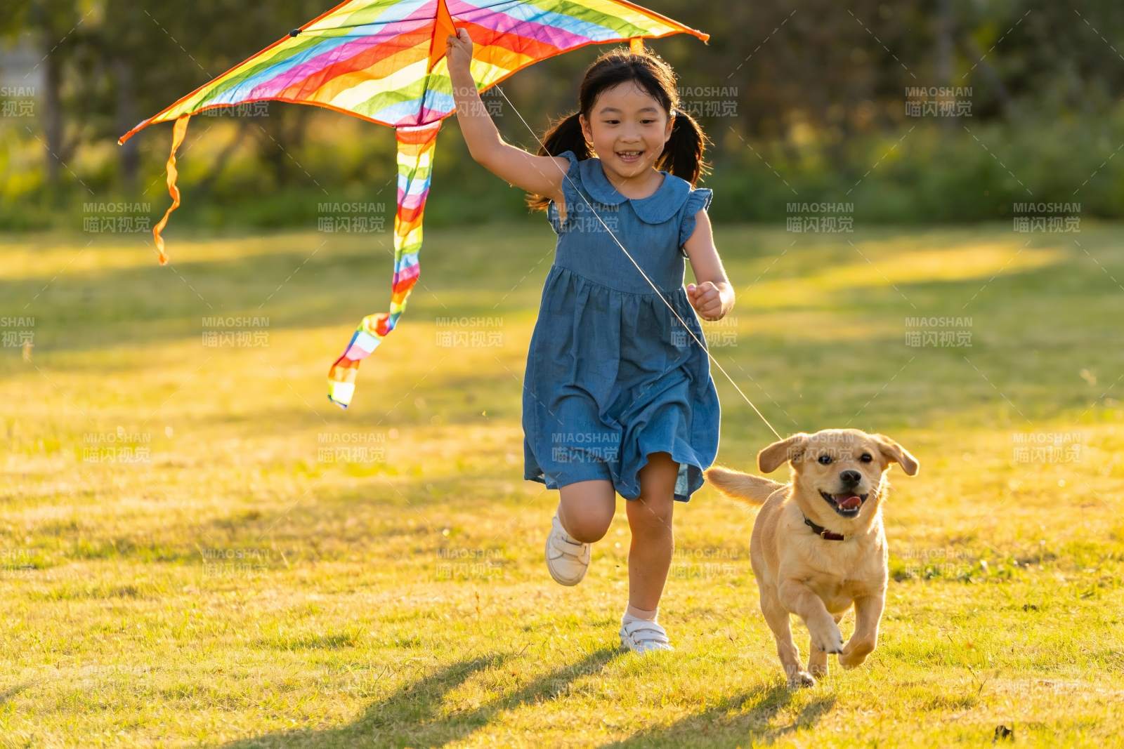 小女孩草地放风筝 狗相伴图片