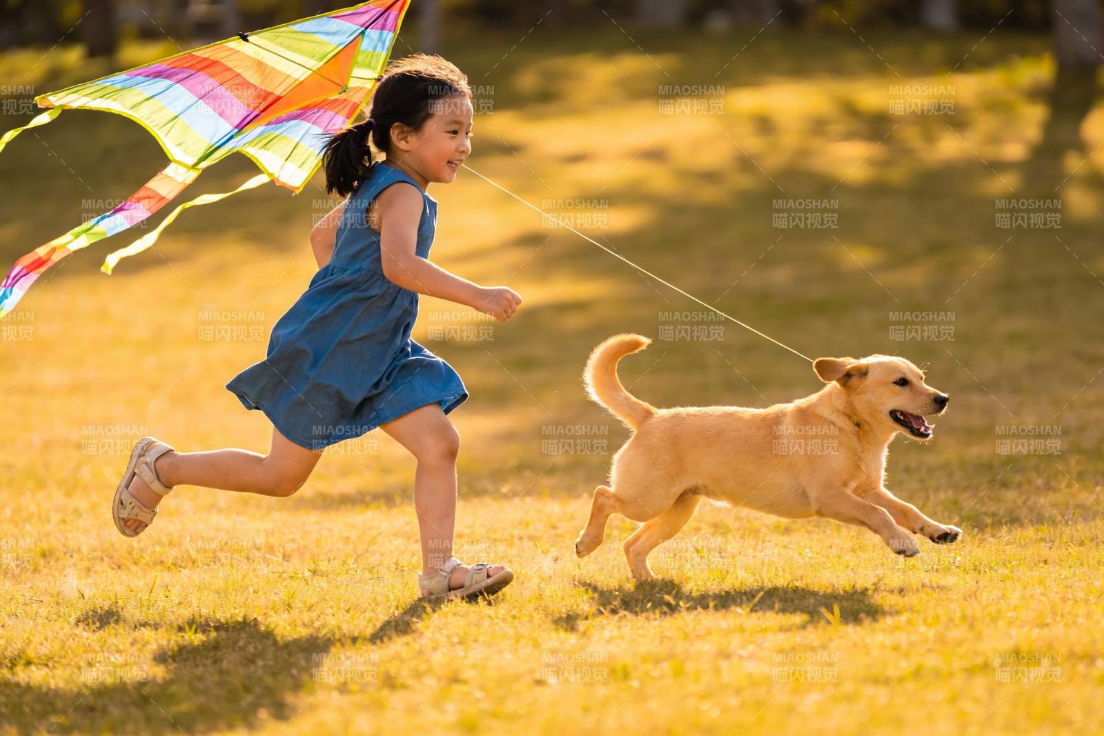 小女孩与小狗草地上放风筝图片