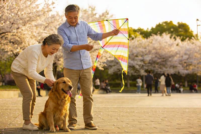 公园里老人与狗放风筝图片
