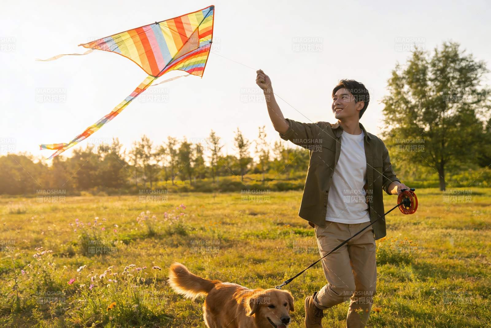 男子户外放风筝遛狗图片