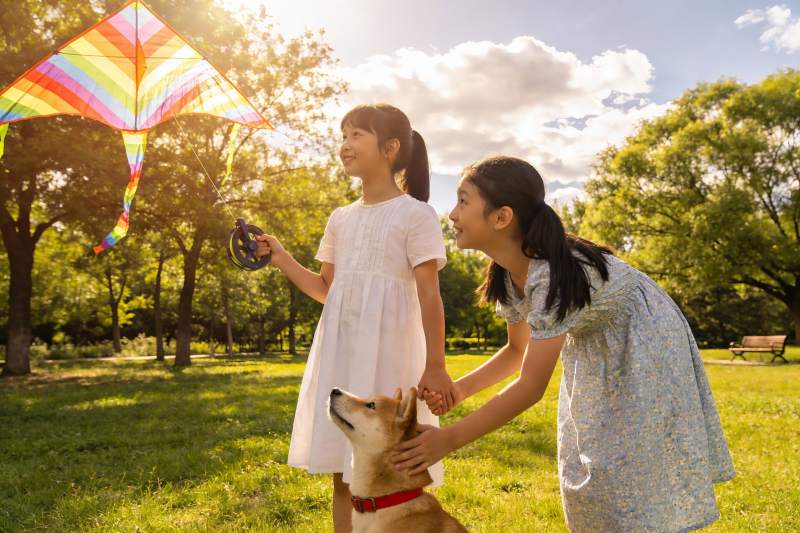 姐妹放风筝与宠物狗户外欢乐图片