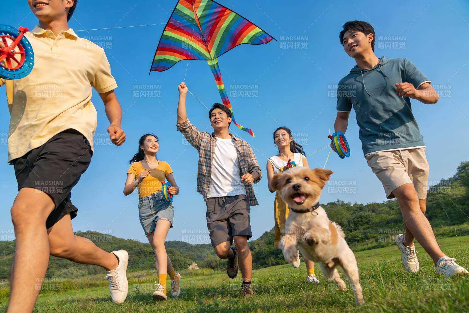 青年户外放风筝与宠物奔跑图片