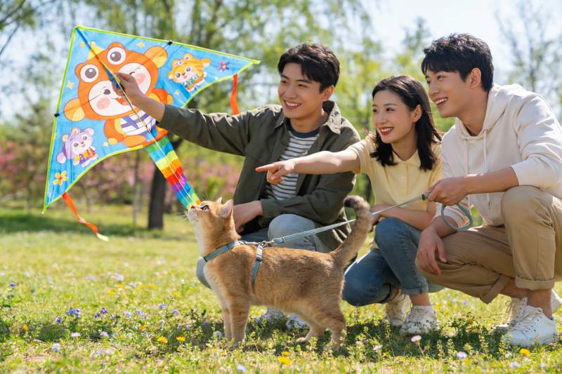 三人一猫放风筝欢乐时光图片