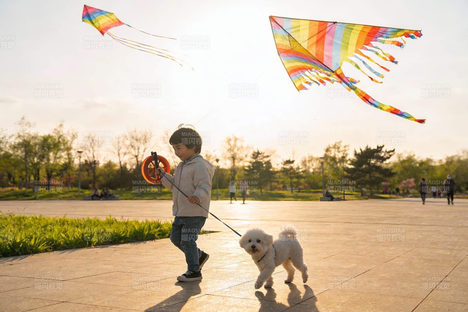 小男孩公园放风筝遛狗图片
