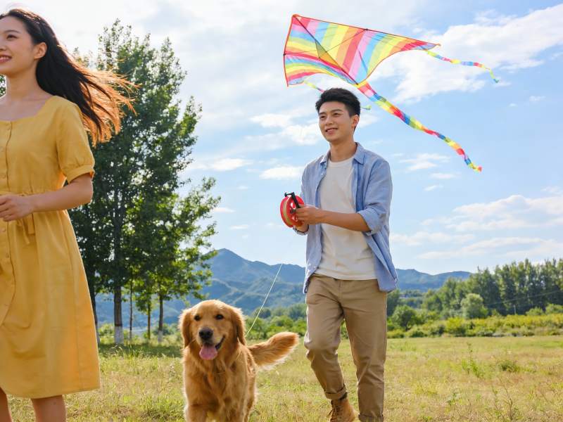 情侣户外放风筝与宠物狗图片
