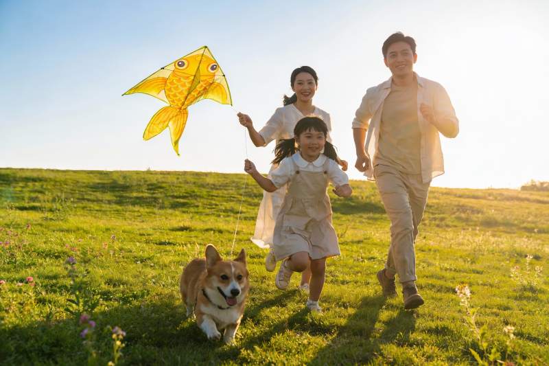 一家三口草地上放风筝图片