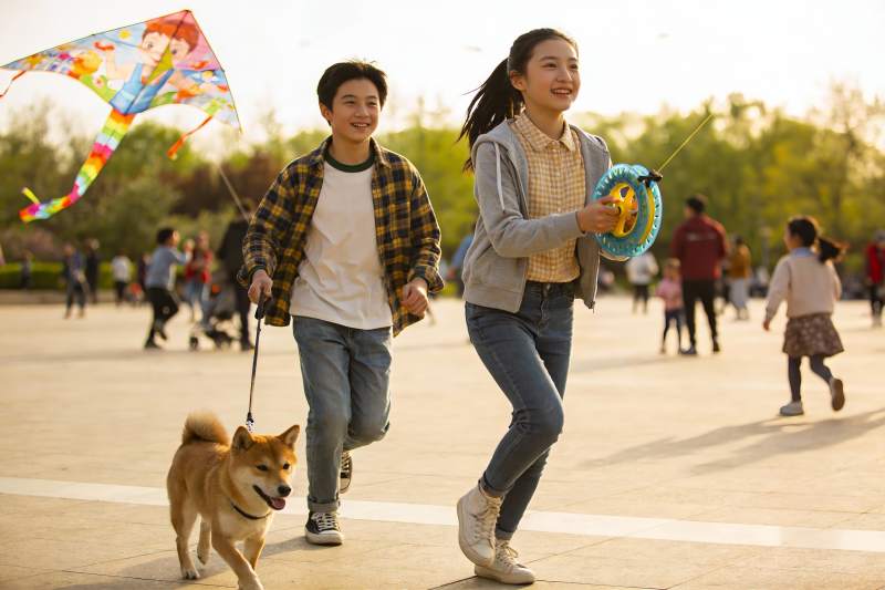 情侣公园放风筝遛狗欢乐时光图片