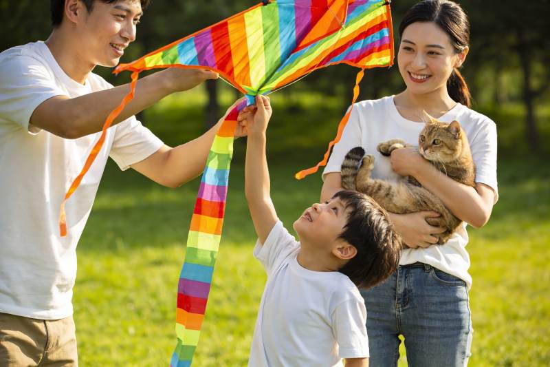 家庭户外放风筝与宠物猫图片