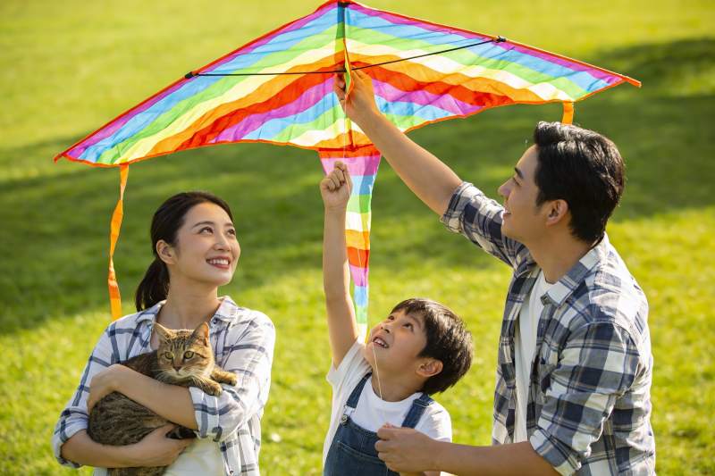 家庭草地上放风筝与宠物图片