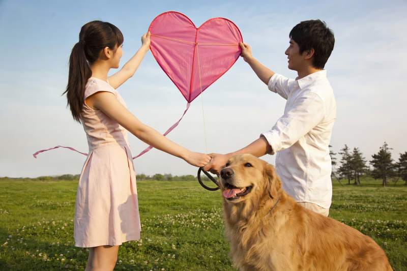 情侣放飞爱心风筝与狗狗图片