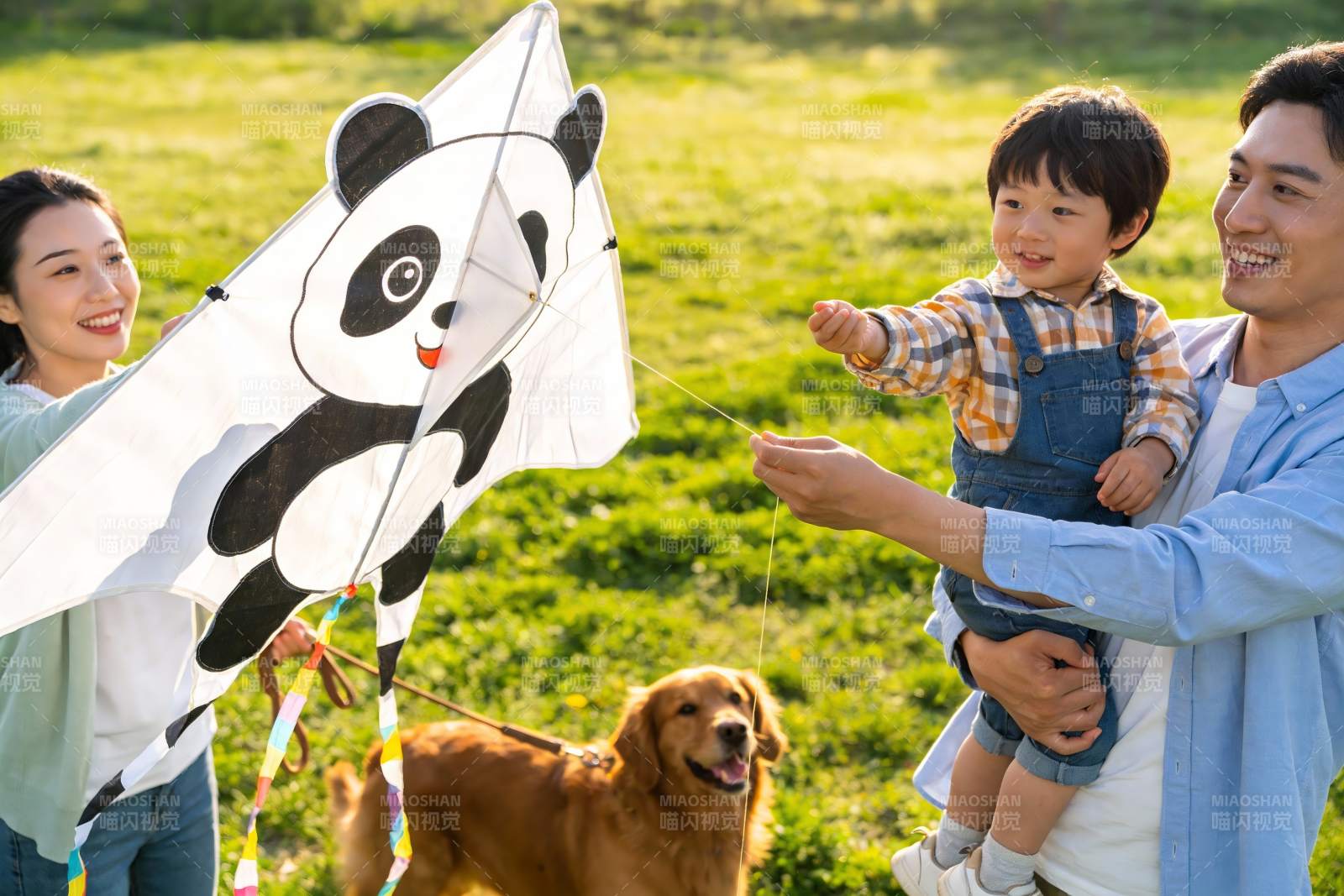 家庭户外放风筝欢乐场景图片