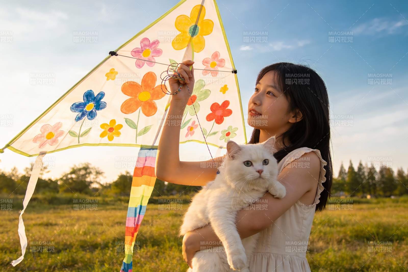 少女草地放风筝抱白猫图片