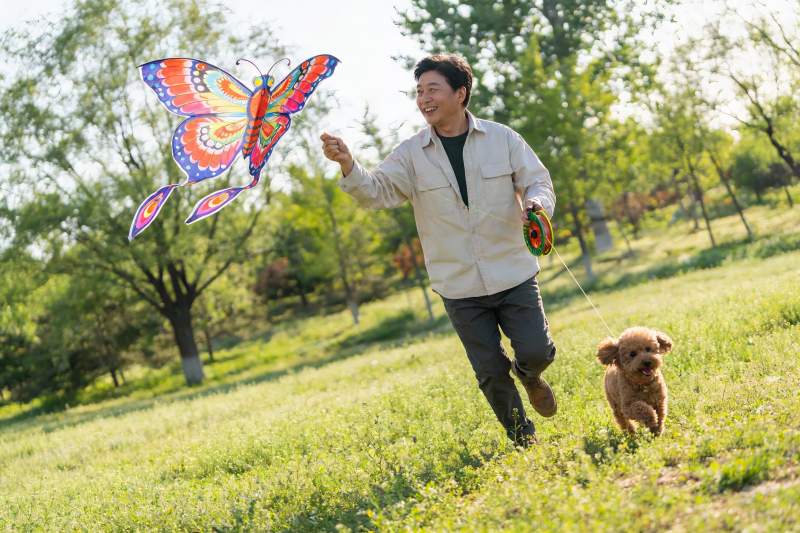男子公园放风筝遛狗图片