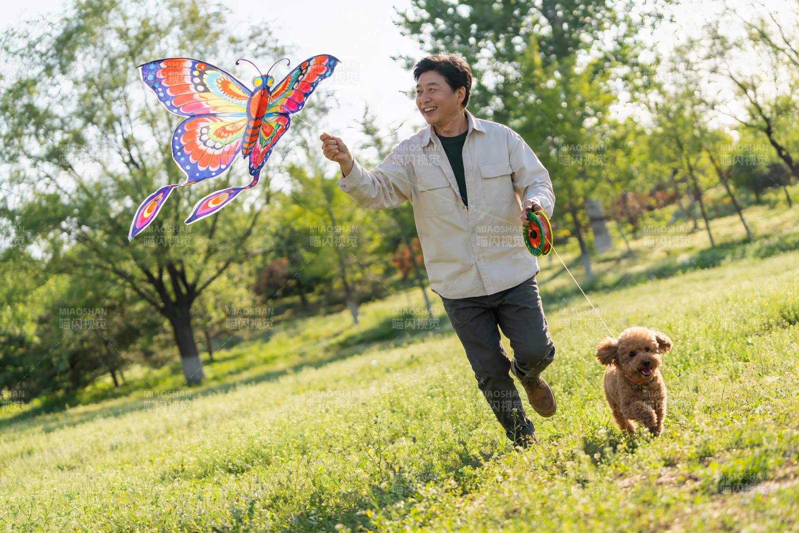 男子公园放风筝遛狗图片