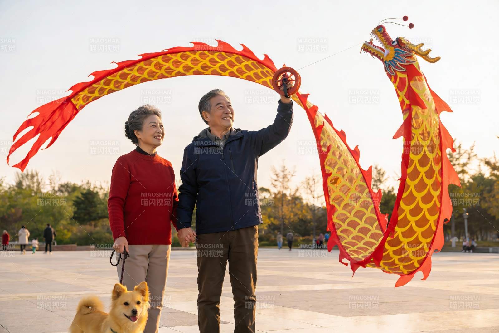 公园放龙风筝的快乐老年夫妇图片