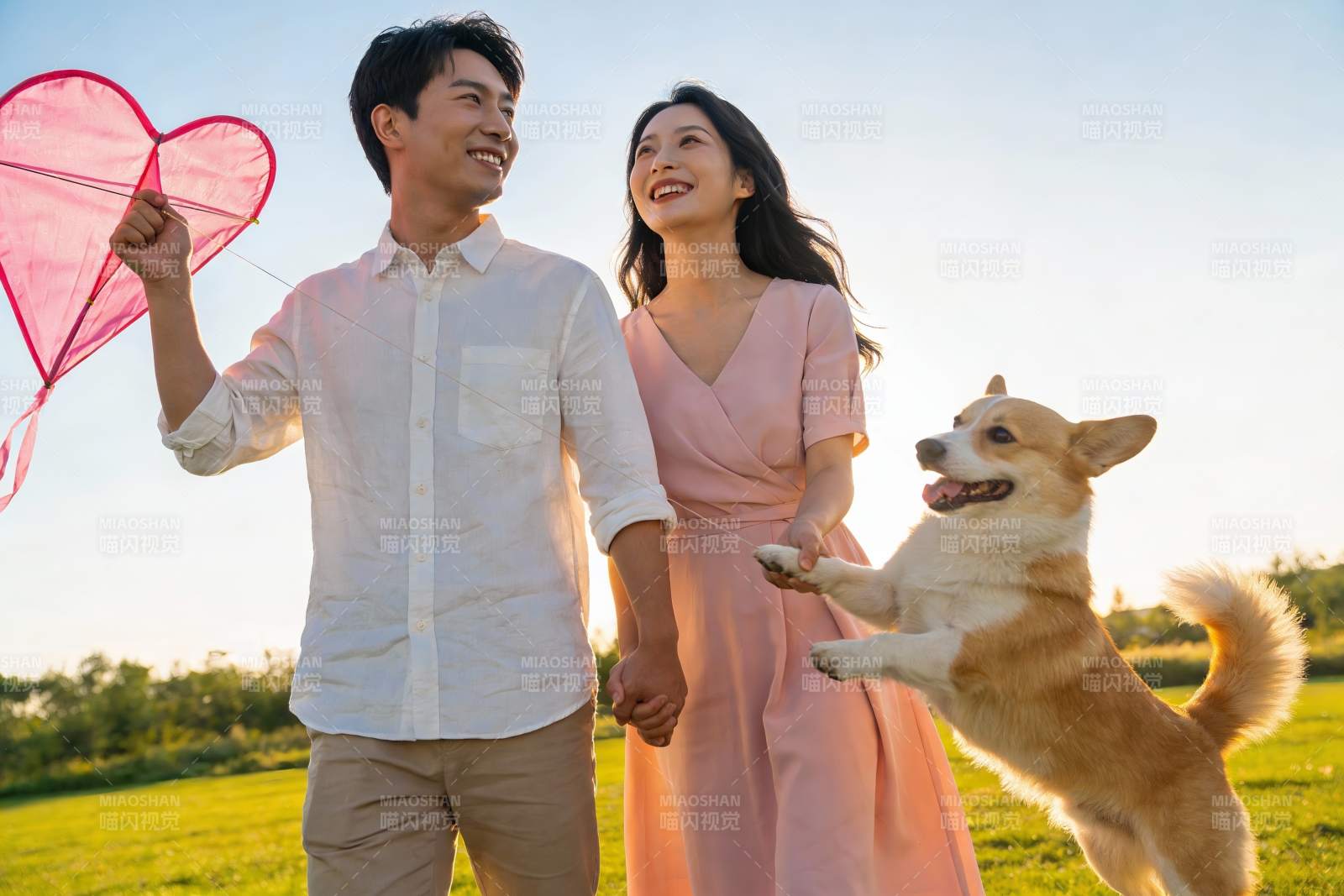 情侣放风筝与狗狗户外欢乐时光图片