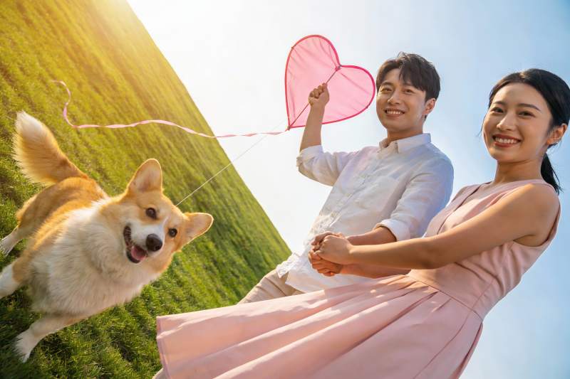 情侣草地放风筝与柯基犬图片