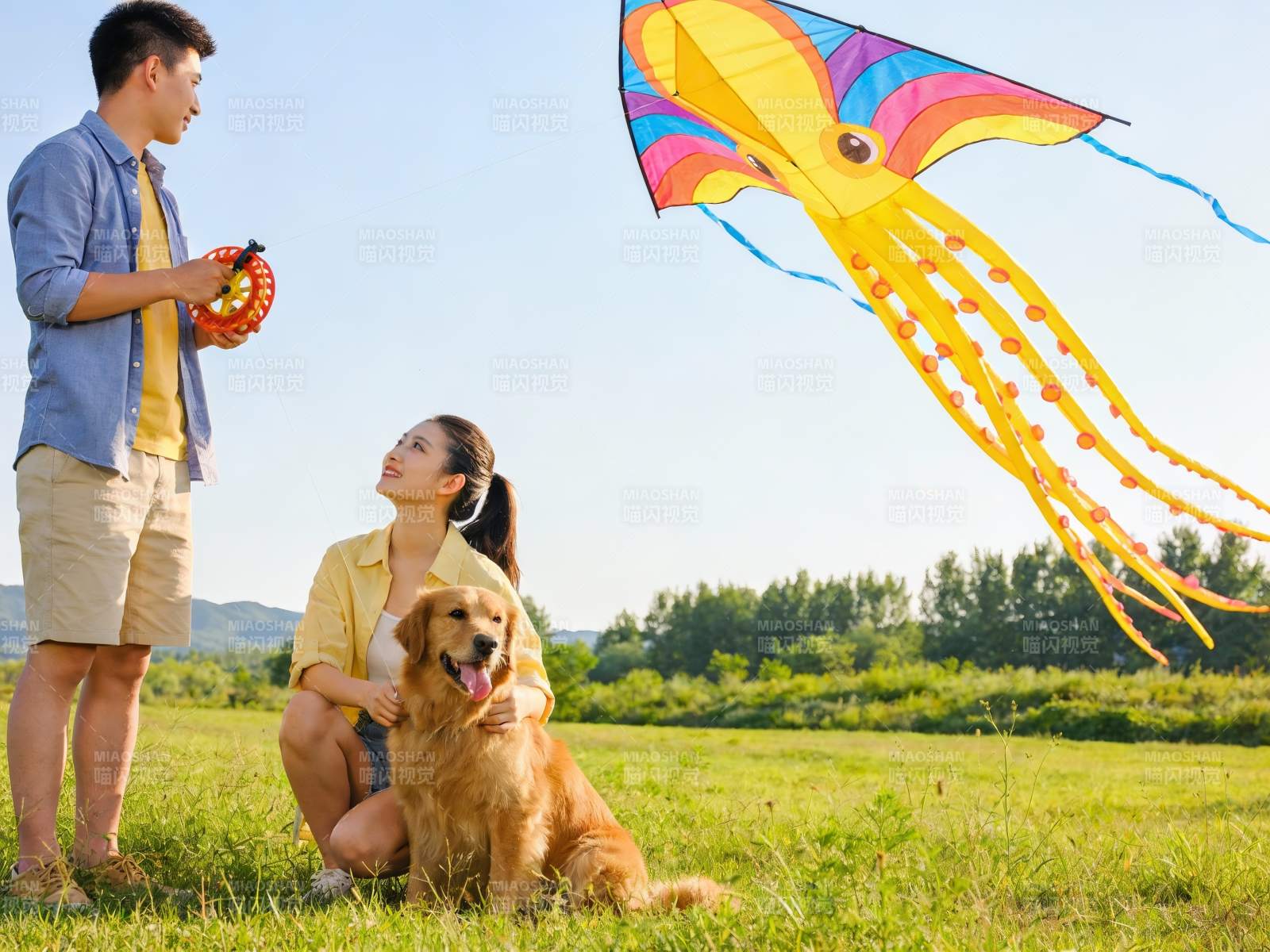 情侣草地放风筝与宠物狗图片
