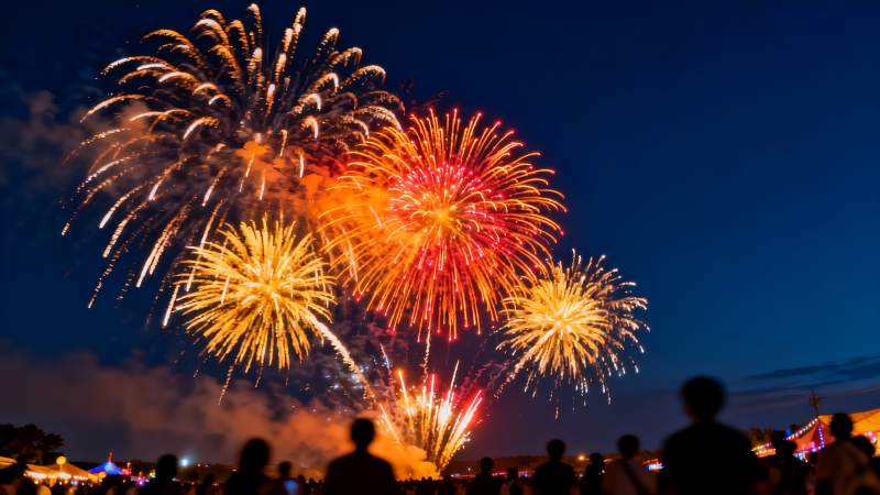 夜空烟花绽放人群观赏图片